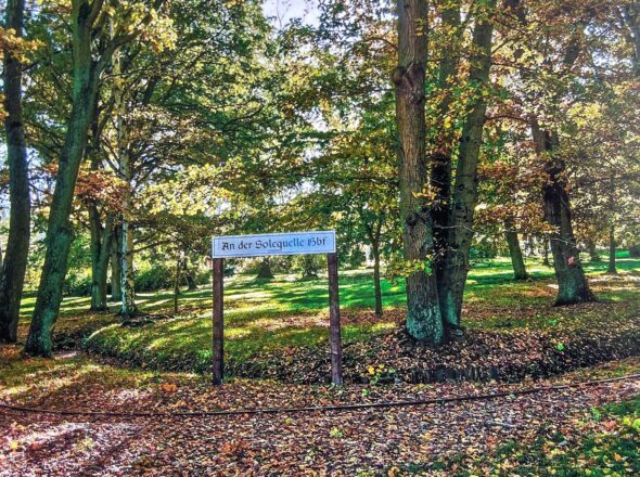 Kurpark Impressionen von Familie Köhler